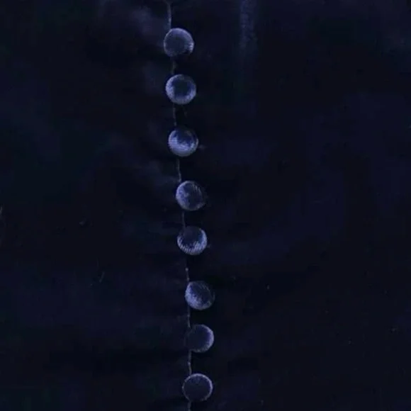 Madewell Blue Velvet‎ Classic Minimalist Gothic Cami Tank Top - Picture 6 of 9